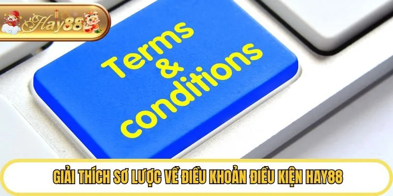 Giải thích sơ lược về điều khoản điều kiện Hay88