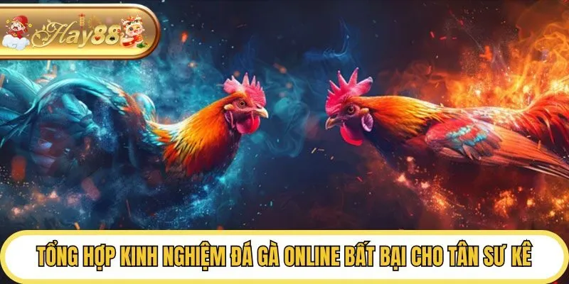 Tổng Hợp Kinh Nghiệm Đá Gà Online Bất Bại Cho Tân Sư Kê