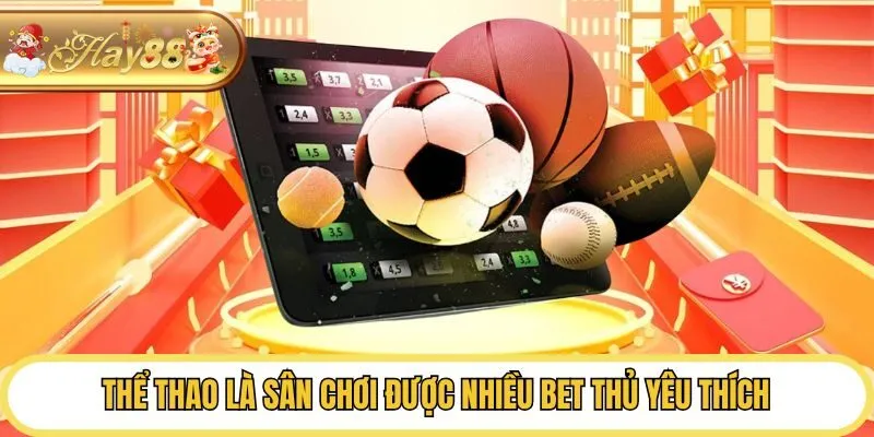 Thể thao là sân chơi được nhiều bet thủ yêu thích