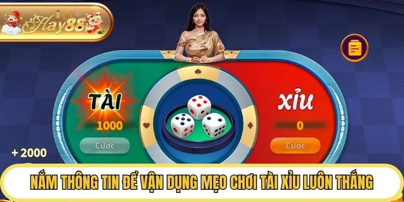 Nắm thông tin để vận dụng mẹo chơi Tài Xỉu luôn thắng