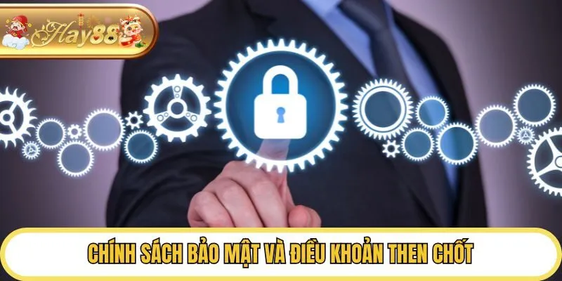 Chính sách bảo mật và điều khoản then chốt